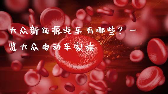 大众新能源汽车有哪些？一览大众电动车家族_https://www.lansai.wang_期货品种_第1张