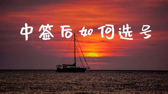 中签后如何选号_https://www.lansai.wang_股指期货_第1张