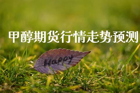 甲醇期货行情走势预测_https://www.lansai.wang_期货行情_第1张