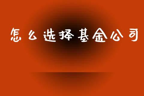 怎么选择基金公司_https://www.lansai.wang_基金理财_第1张