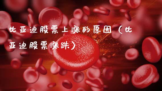 比亚迪股票上涨的原因（比亚迪股票涨跌）_https://www.lansai.wang_股票问答_第1张