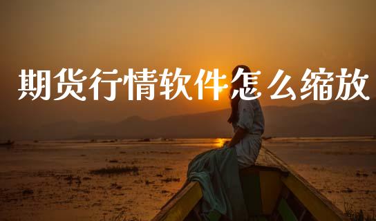 期货行情软件怎么缩放_https://www.lansai.wang_期货行情_第1张