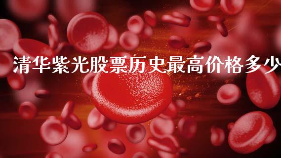 清华紫光股票历史最高价格多少_https://www.lansai.wang_期货行情_第1张