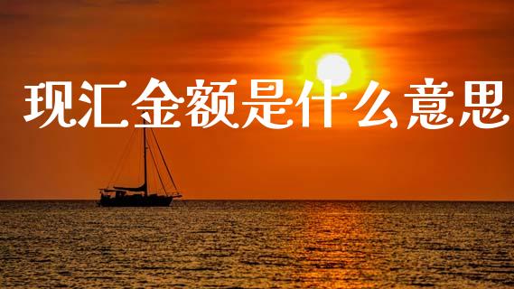 现汇金额是什么意思_https://www.lansai.wang_股票问答_第1张