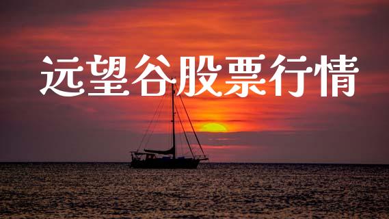远望谷股票行情_https://www.lansai.wang_股票问答_第1张