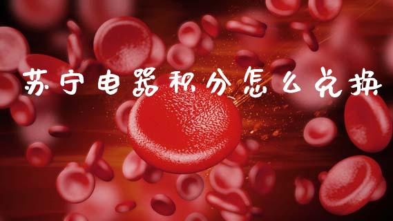 苏宁电器积分怎么兑换_https://www.lansai.wang_期货资讯_第1张
