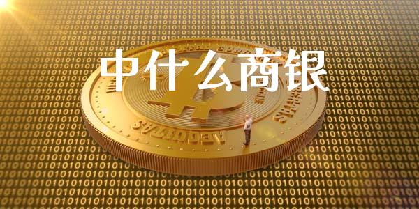 中什么商银_https://www.lansai.wang_理财百科_第1张