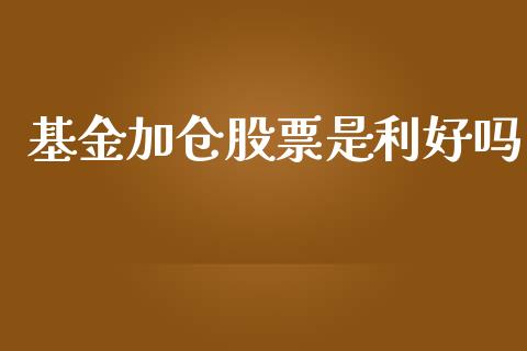 基金加仓股票是利好吗_https://www.lansai.wang_基金理财_第1张