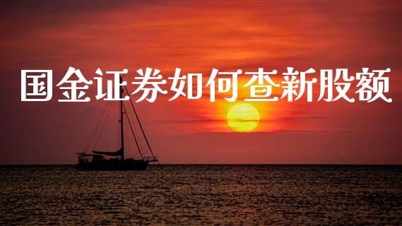 国金证券如何查新股额_https://www.lansai.wang_期货行情_第1张