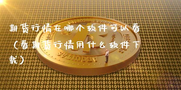期货行情在哪个软件可以看（看期货行情用什么软件下载）_https://www.lansai.wang_恒生指数_第1张