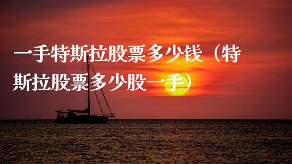 一手特斯拉股票多少钱（特斯拉股票多少股一手）_https://www.lansai.wang_股票知识_第1张