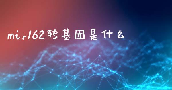 mir162转基因是什么_https://www.lansai.wang_期货行情_第1张