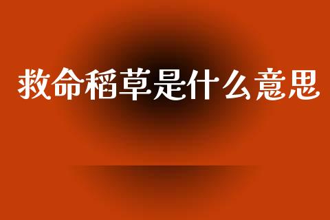 救命稻草是什么意思_https://www.lansai.wang_股指期货_第1张
