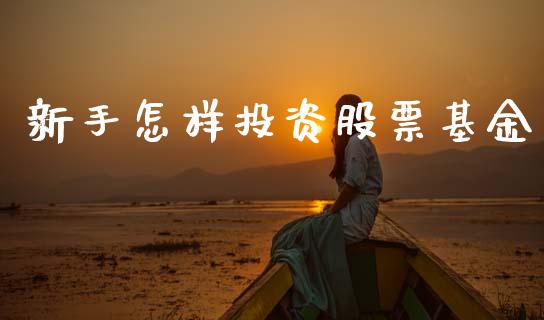 新手怎样投资股票基金_https://www.lansai.wang_基金理财_第1张
