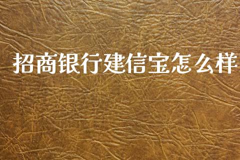 招商银行建信宝怎么样_https://www.lansai.wang_股指期货_第1张