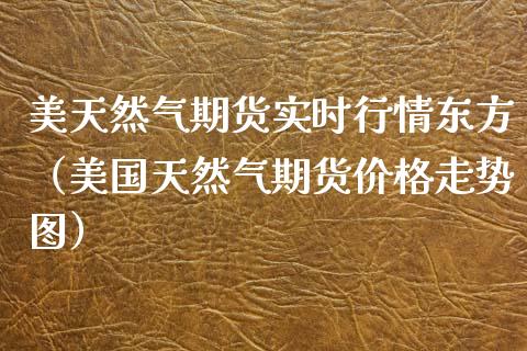 美天然气期货实时行情东方（美国天然气期货价格走势图）_https://www.lansai.wang_期货资讯_第1张