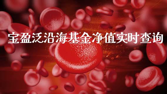 宝盈泛沿海基金净值实时查询_https://www.lansai.wang_理财百科_第1张