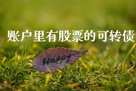 账户里有股票的可转债_https://www.lansai.wang_基金理财_第1张