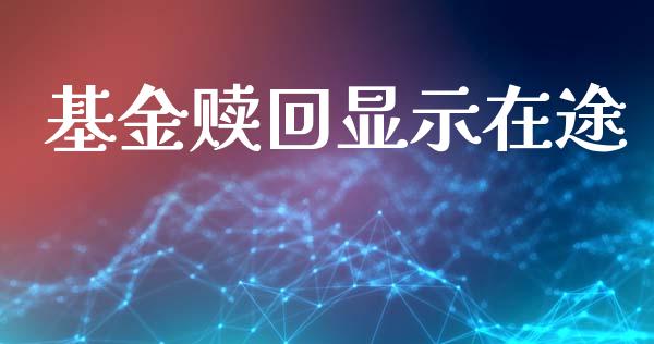 基金赎回显示在途_https://www.lansai.wang_基金理财_第1张