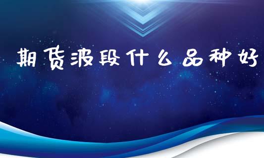 期货波段什么品种好_https://www.lansai.wang_期货资讯_第1张