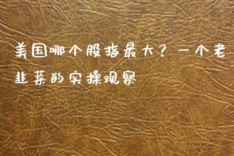 美国哪个股指最大？一个老韭菜的实操观察_https://www.lansai.wang_期货直播_第1张