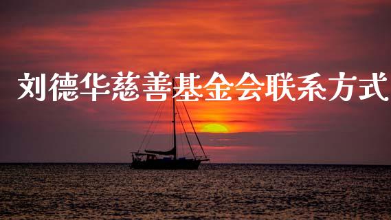 刘德华慈善基金会联系方式_https://www.lansai.wang_未分类_第1张