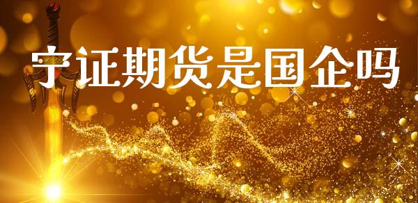 宁证期货是国企吗_https://www.lansai.wang_期货资讯_第1张