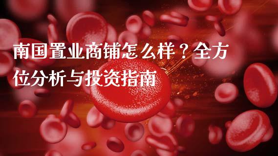 南国置业商铺怎么样?全方位分析与投资指南_理财百科_第1张_起点财经 南国置业商铺怎么样?全方位分析与投资指南_https://www.lansai.wang_理财百科_第1张