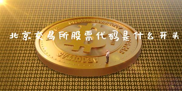 北京交易所股票代码是什么开头_https://www.lansai.wang_股票知识_第1张