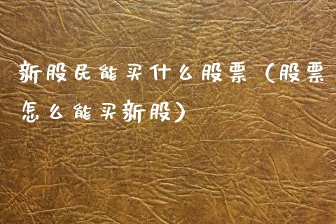 新股民能买什么股票（股票怎么能买新股）_https://www.lansai.wang_股票问答_第1张