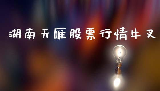 湖南天雁股票行情牛叉_https://www.lansai.wang_期货行情_第1张