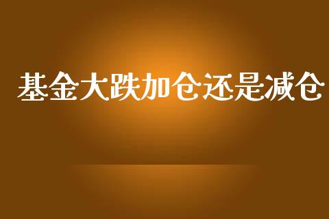基金大跌加仓还是减仓_https://www.lansai.wang_未分类_第1张