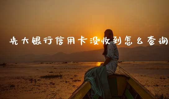 光大银行信用卡没收到怎么查询_https://www.lansai.wang_恒生指数_第1张