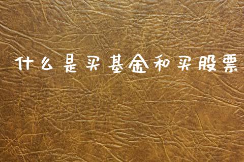 什么是买基金和买股票_https://www.lansai.wang_基金理财_第1张