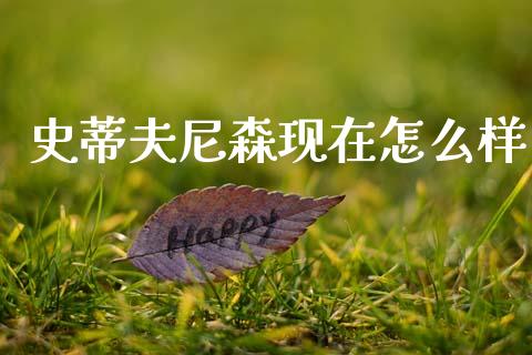 史蒂夫尼森现在怎么样_https://www.lansai.wang_期货行情_第1张