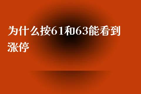 为什么按61和63能看到涨停_https://www.lansai.wang_股票知识_第1张