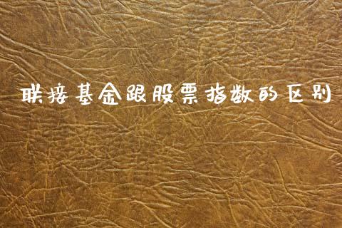 联接基金跟股票指数的区别_https://www.lansai.wang_基金理财_第1张