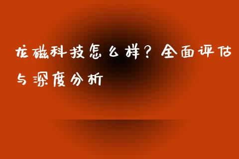 龙磁科技怎么样？全面评估与深度分析_https://www.lansai.wang_期货学院_第1张