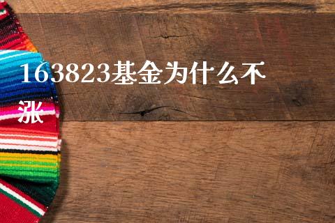 163823基金为什么不涨_https://www.lansai.wang_期货行情_第1张