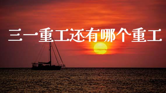 三一重工还有哪个重工_https://www.lansai.wang_股票知识_第1张