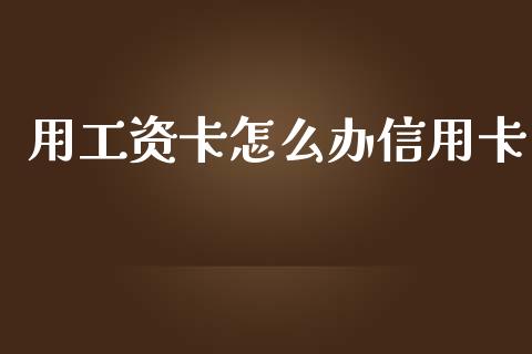 用工资卡怎么办信用卡_https://www.lansai.wang_期货资讯_第1张