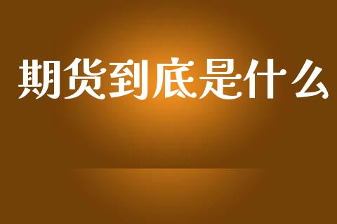 期货到底是什么_https://www.lansai.wang_恒生指数_第1张