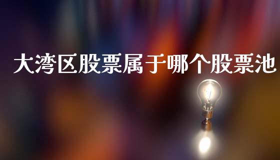 大湾区股票属于哪个股票池_https://www.lansai.wang_股票问答_第1张