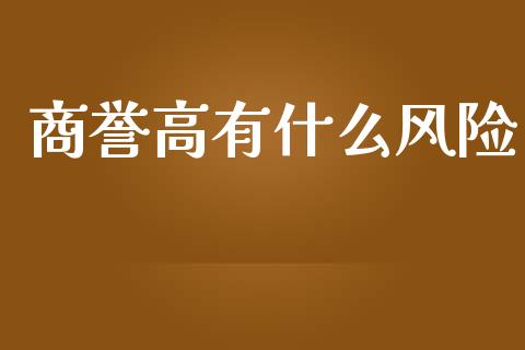 商誉高有什么风险_https://www.lansai.wang_期货品种_第1张