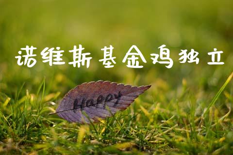 诺维斯基金鸡独立_https://www.lansai.wang_基金理财_第1张