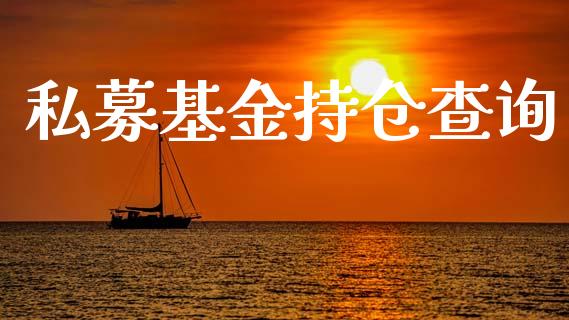 私募基金持仓查询_https://www.lansai.wang_基金理财_第1张