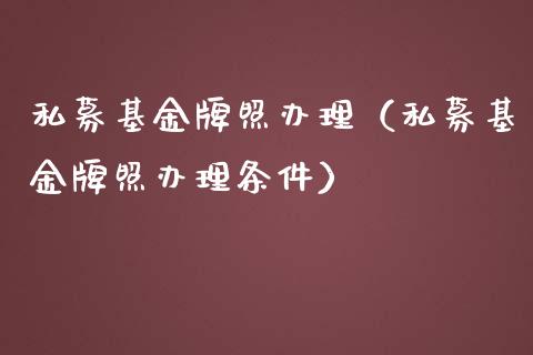 私募基金牌照办理（私募基金牌照办理条件）_https://www.lansai.wang_基金理财_第1张