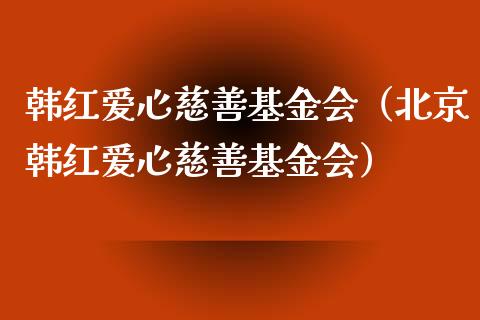 韩红爱心慈善基金会（北京韩红爱心慈善基金会）_https://www.lansai.wang_基金理财_第1张