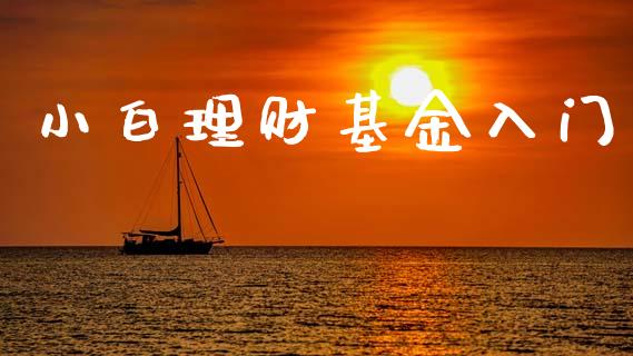 小白理财基金入门_https://www.lansai.wang_基金理财_第1张