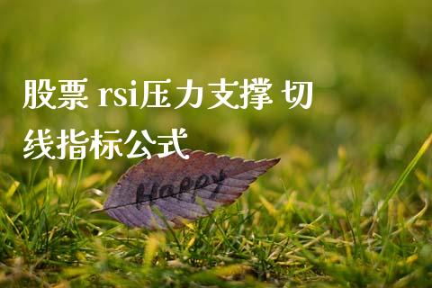 股票 rsi压力支撑 切线指标公式_https://www.lansai.wang_期货行情_第1张